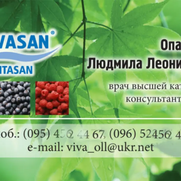 Приклад друкованої роботи №70